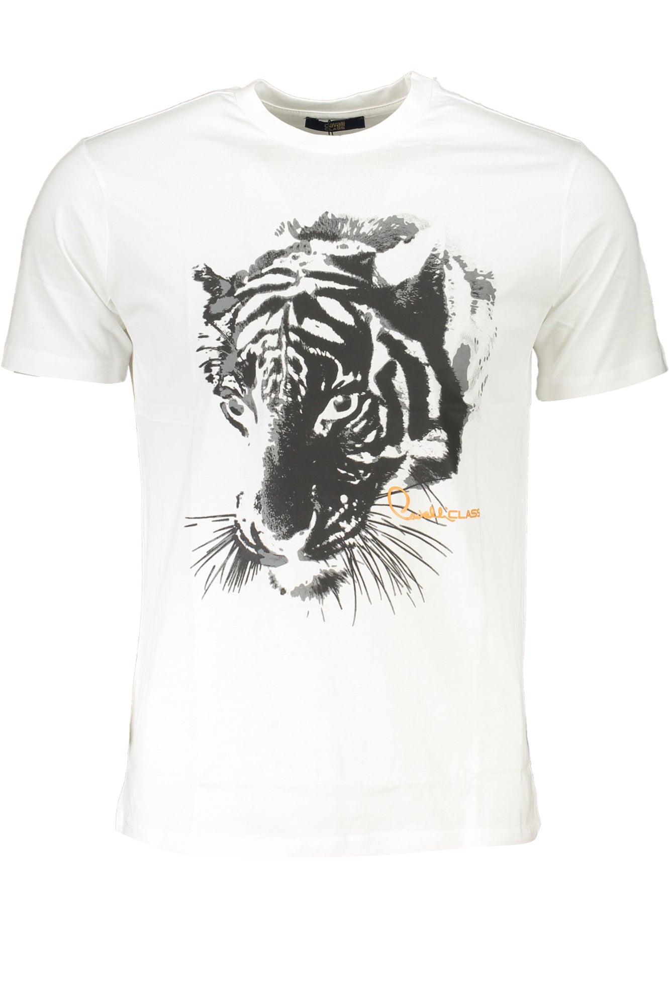 CAVALLI CLASS Herren T-Shirt | T-Shirts online kaufen Weiß