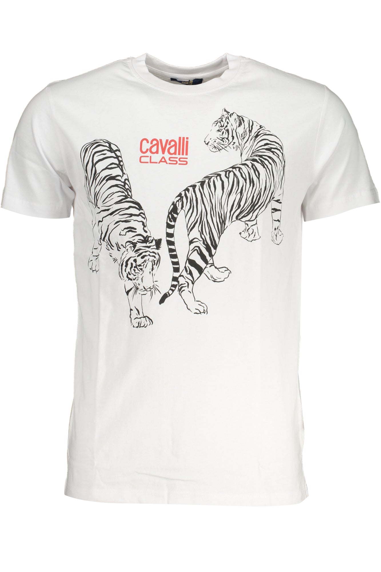 CAVALLI CLASS Herren T-Shirt | T-Shirts online kaufen Weiß