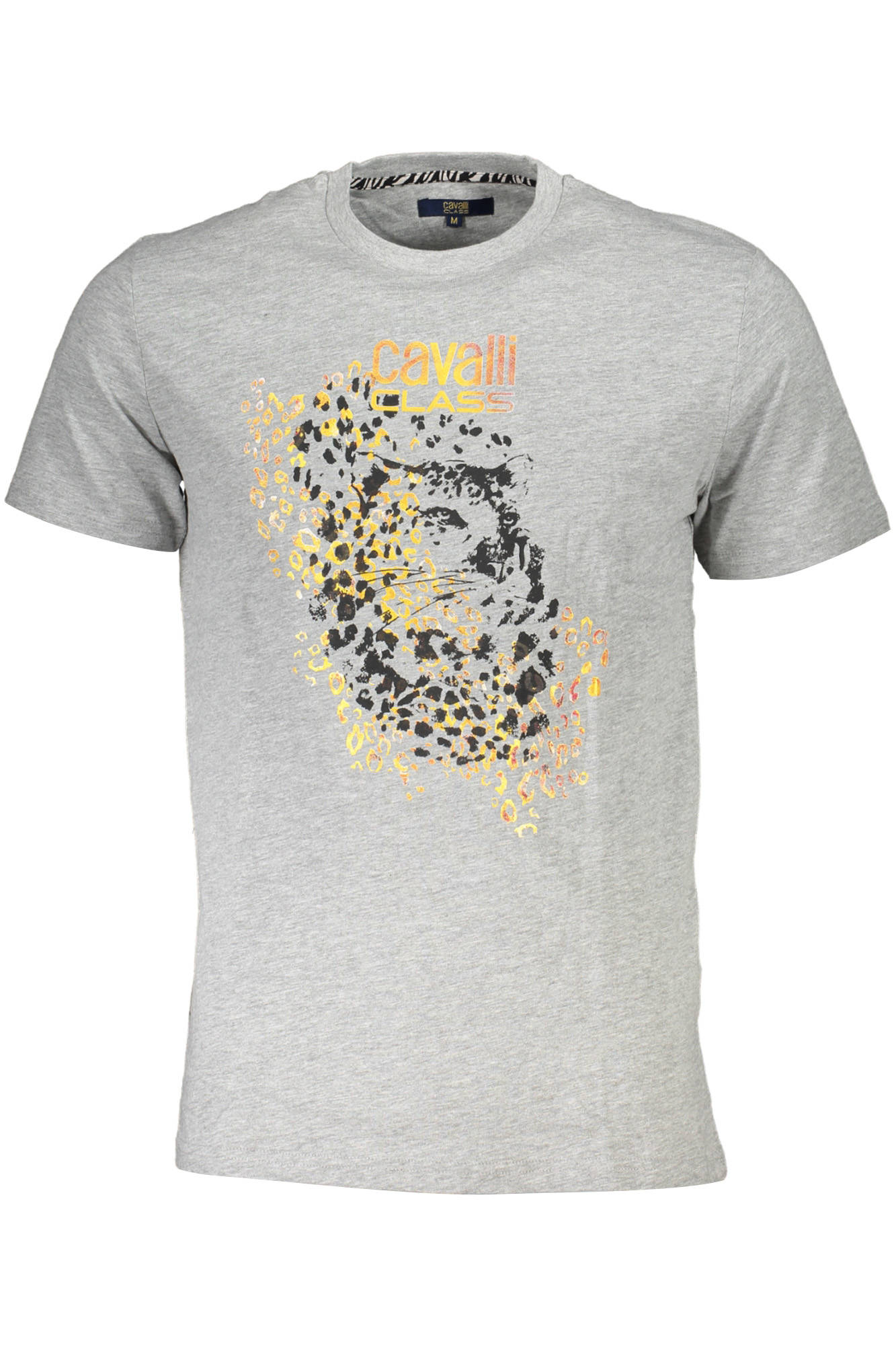 CAVALLI CLASS Herren T-Shirt – Kurzarm | T-Shirts kaufen Grau