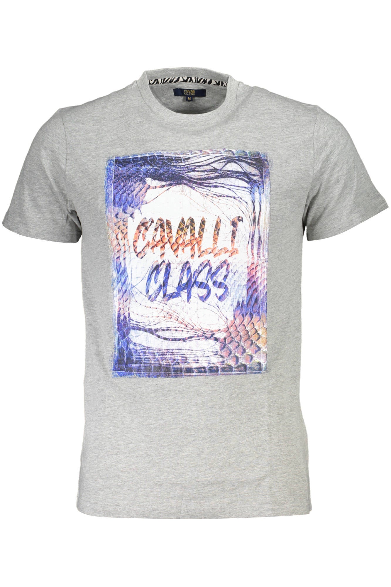 Cavalli Class Kurzarm-T-Shirt Herren Grau Grau