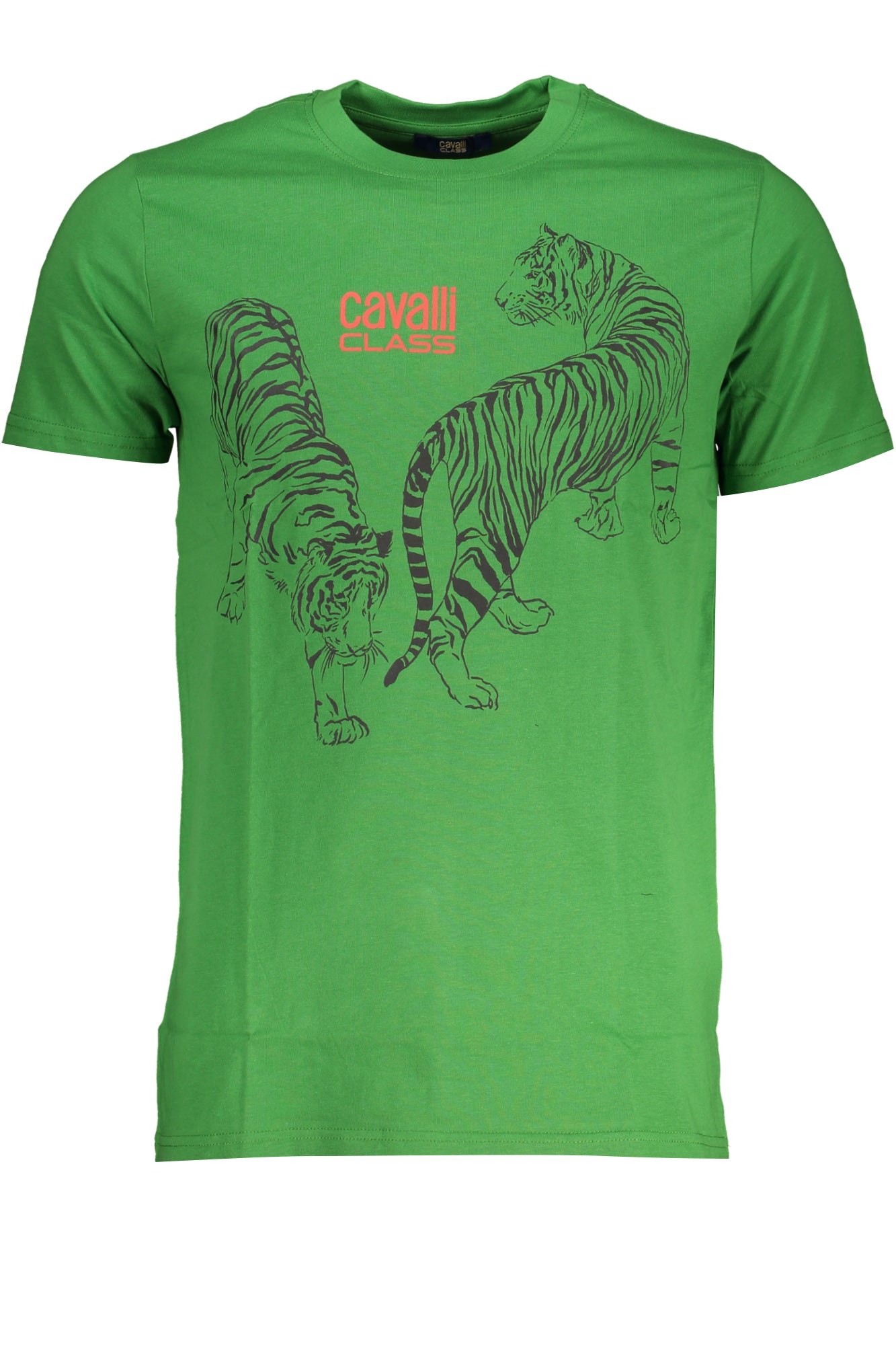 CAVALLI CLASS Herren T-Shirt | T-Shirts online kaufen Grün