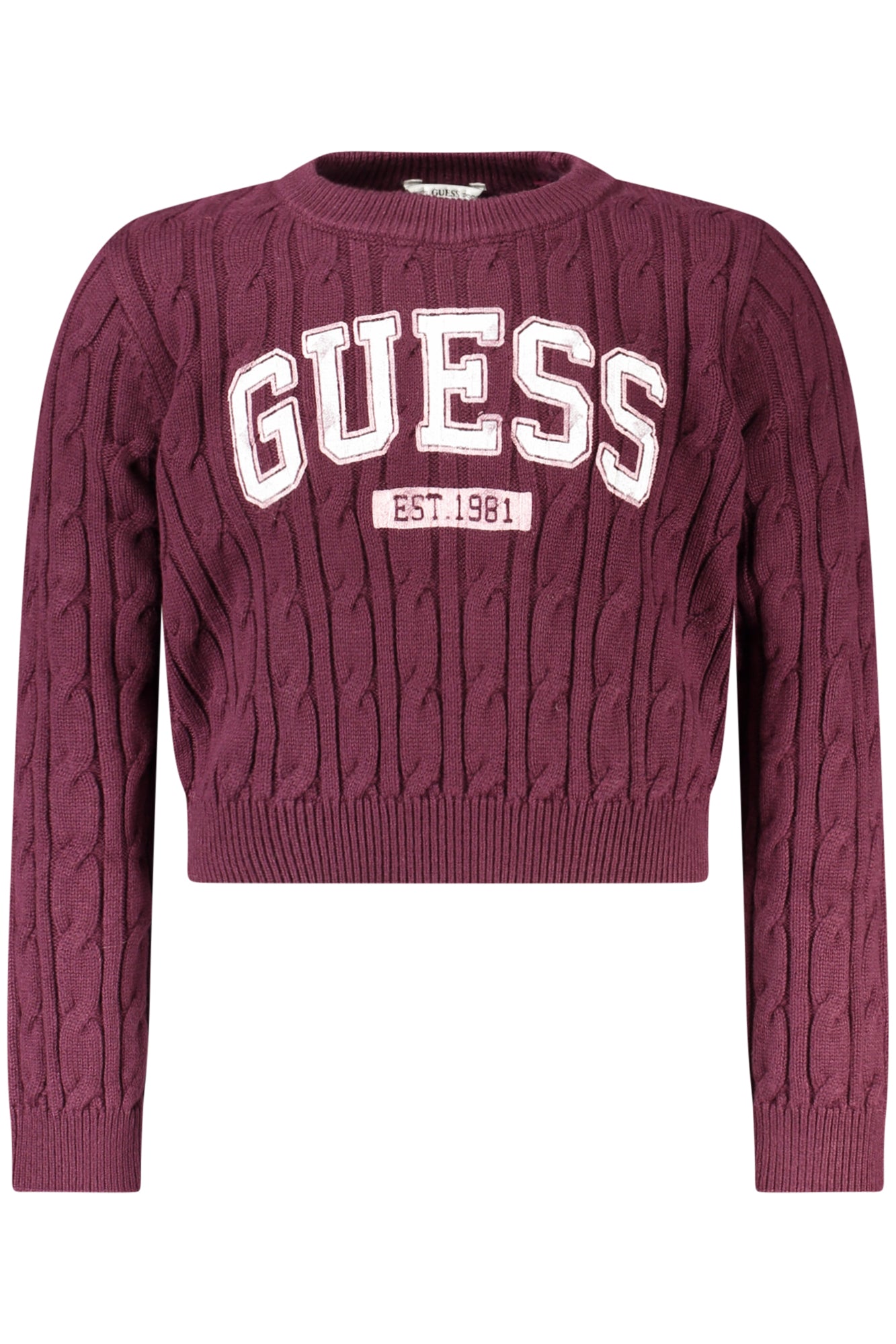 GUESS JEANS Kinder Oberteile – Pullover online kaufen Violett