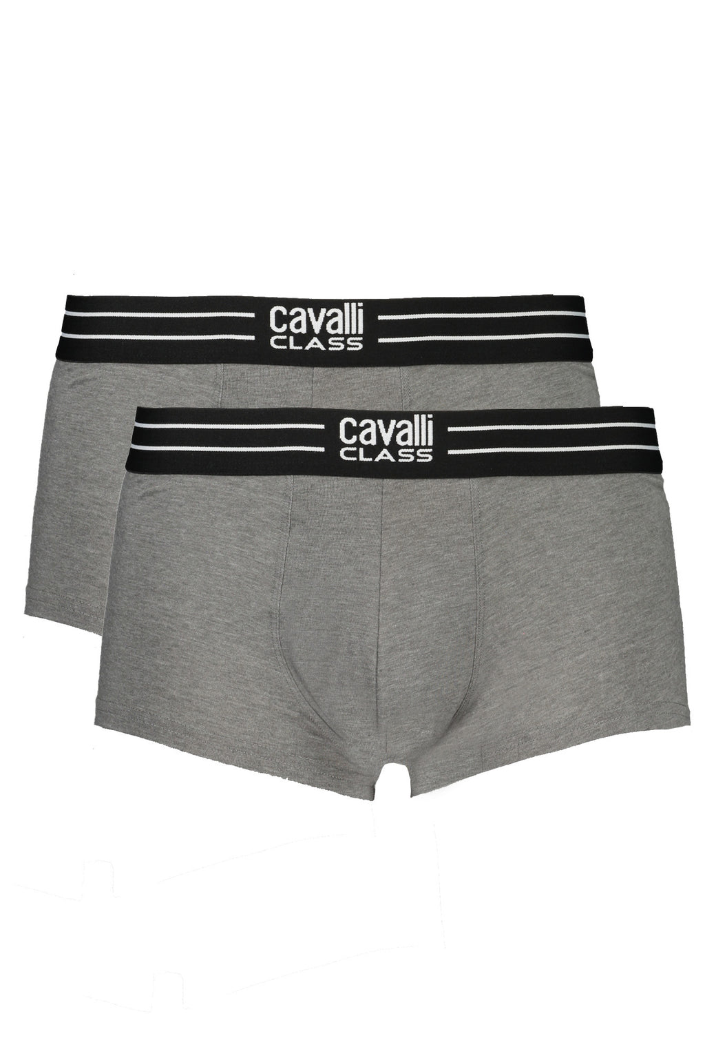 CAVALLI CLASS BOXERSHORTS HERREN GRAU