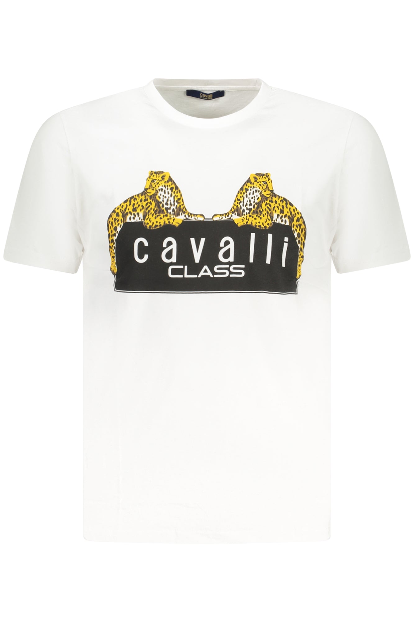 Cavalli Class Short Sleeve T-Shirt Men's Green Secondary image