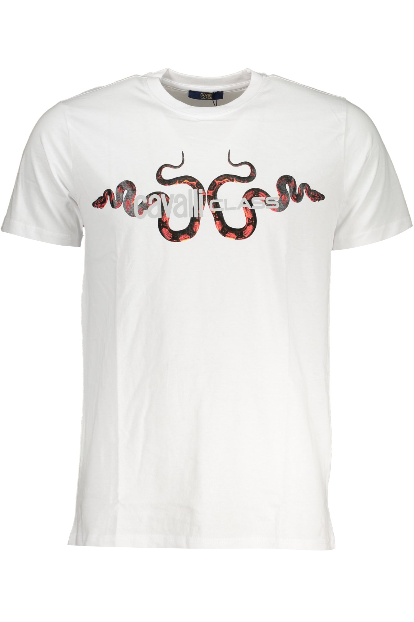 CAVALLI CLASS Herren T-Shirt | T-Shirts online kaufen Weiß