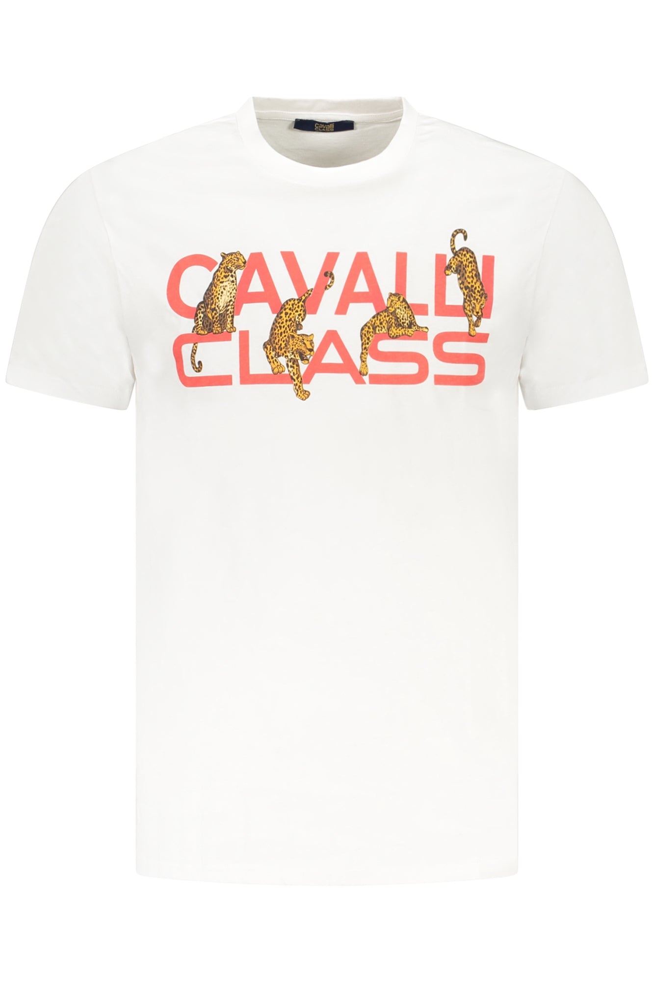CAVALLI CLASS KURZARM-T-SHIRT HERREN WEISS