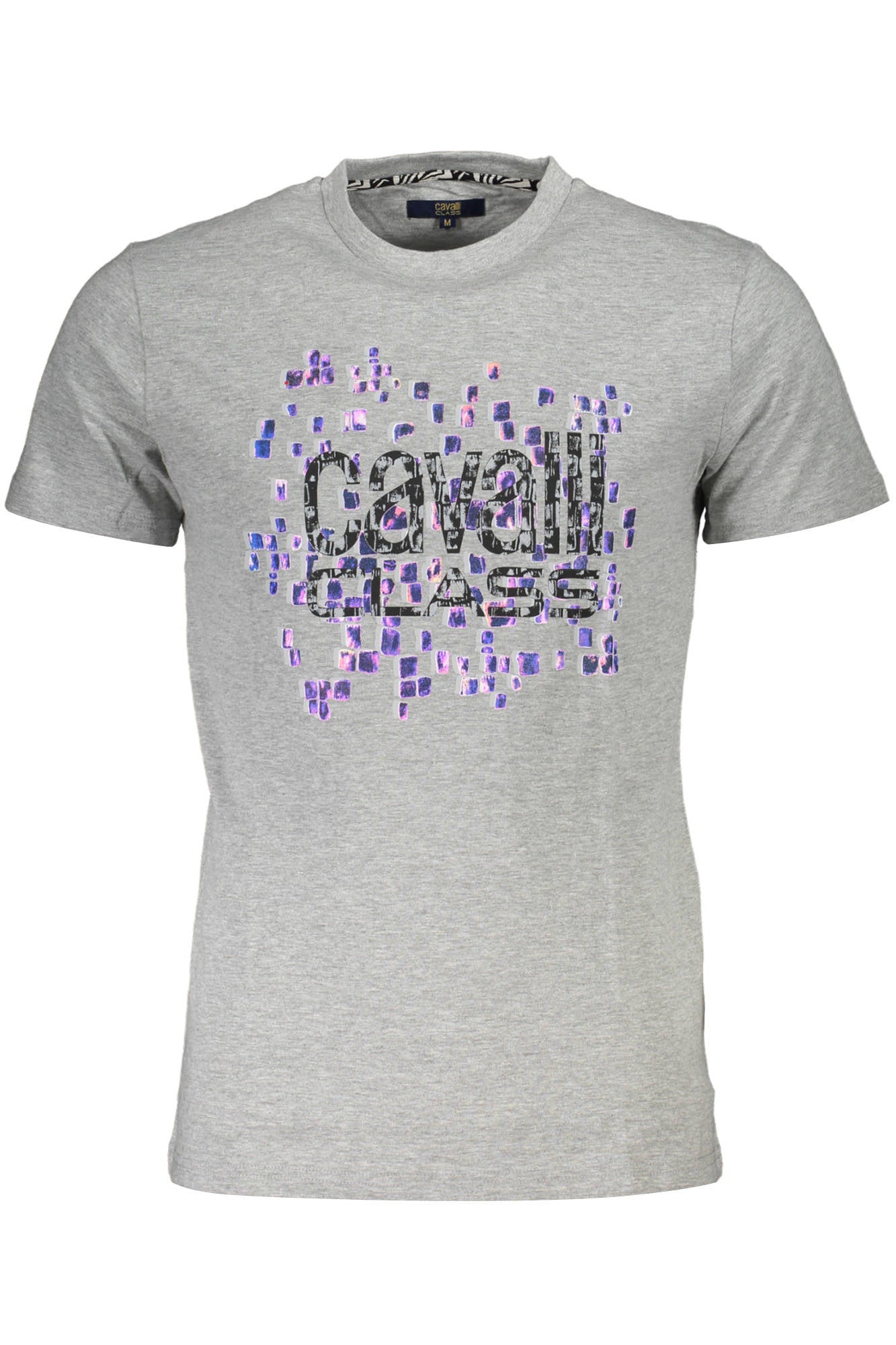 Cavalli Class Kurzarm-T-Shirt Herren Grau Grau Main image