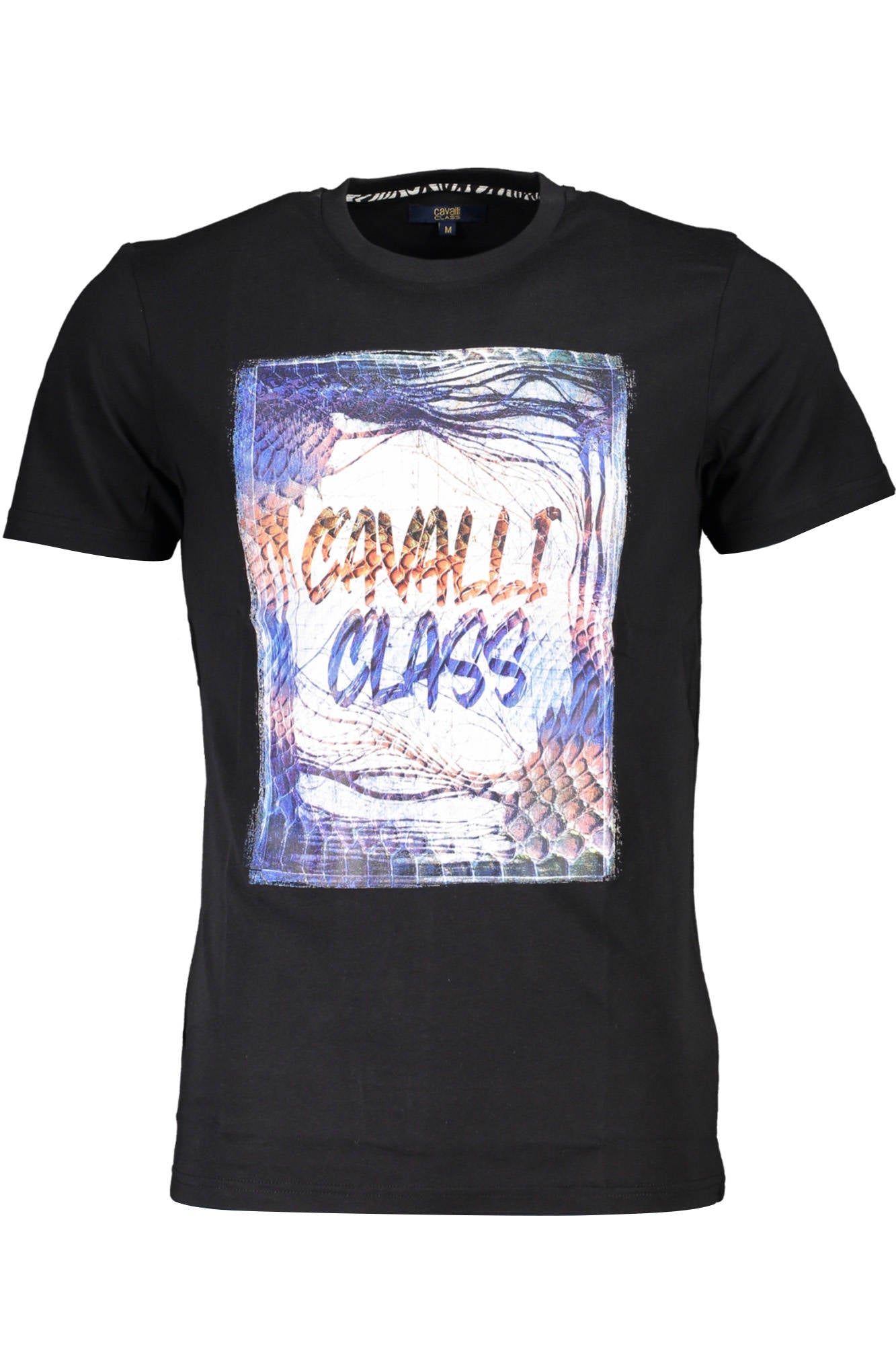 Cavalli Class T-Shirt Herren Schwarz – Kurzarm Basic aus Baumwolle | soulluna.de Schwarz