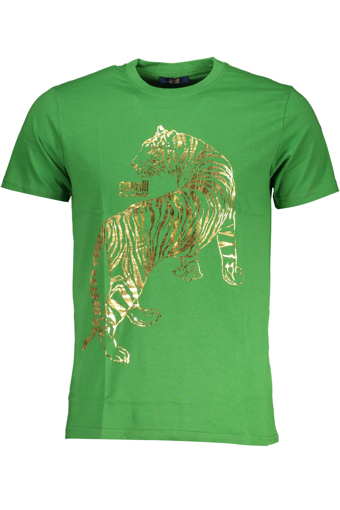 CAVALLI CLASS Herren T-Shirt | T-Shirts online kaufen Grün