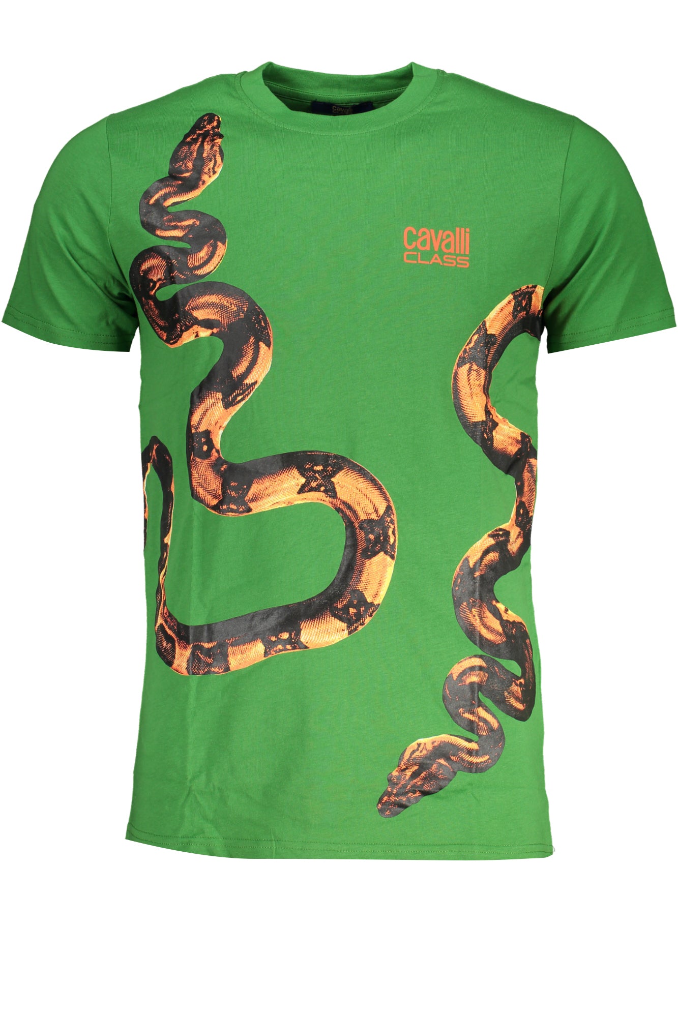 CAVALLI CLASS Herren T-Shirt | T-Shirts online kaufen Grün