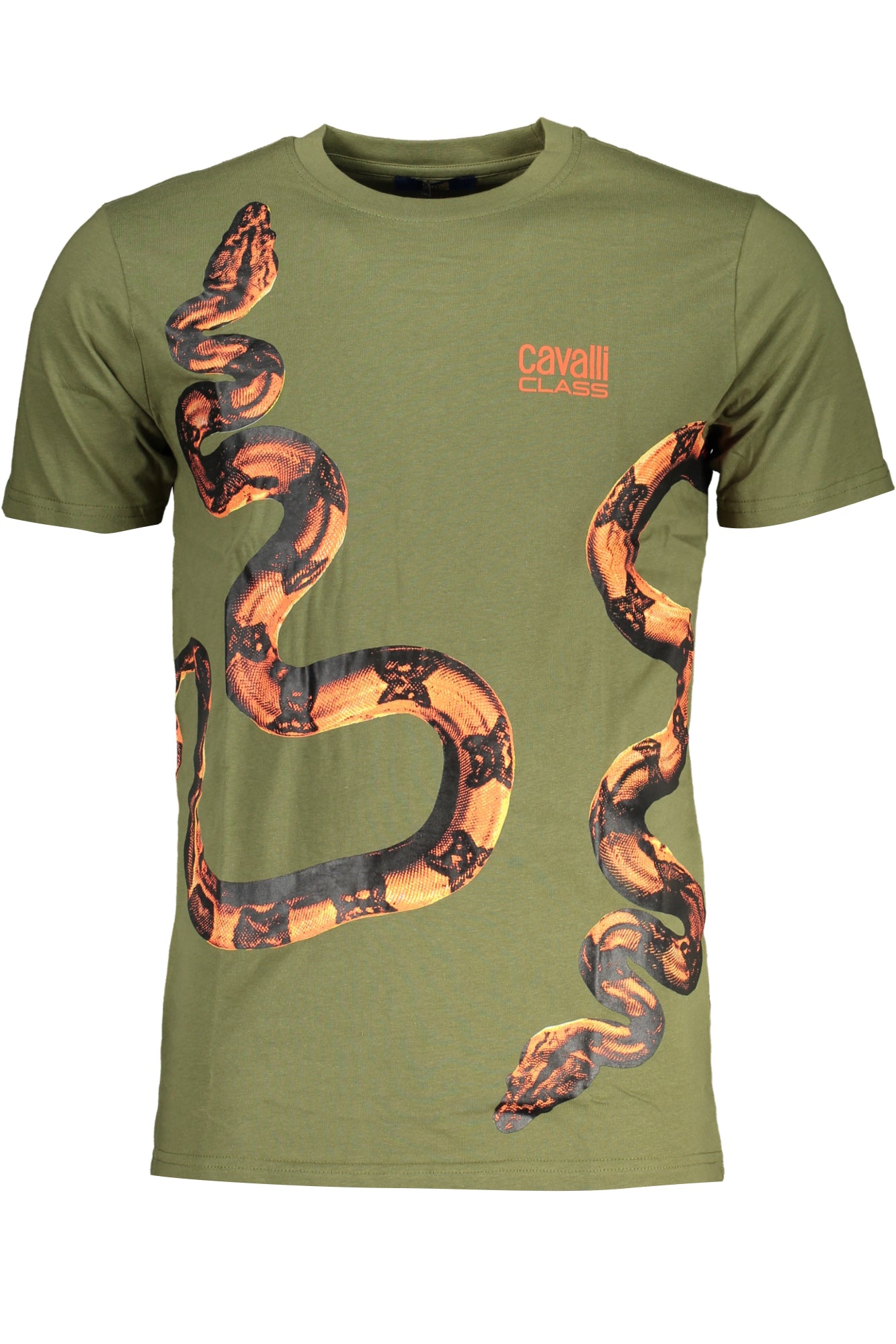 CAVALLI CLASS Herren T-Shirt | T-Shirts online kaufen Grün