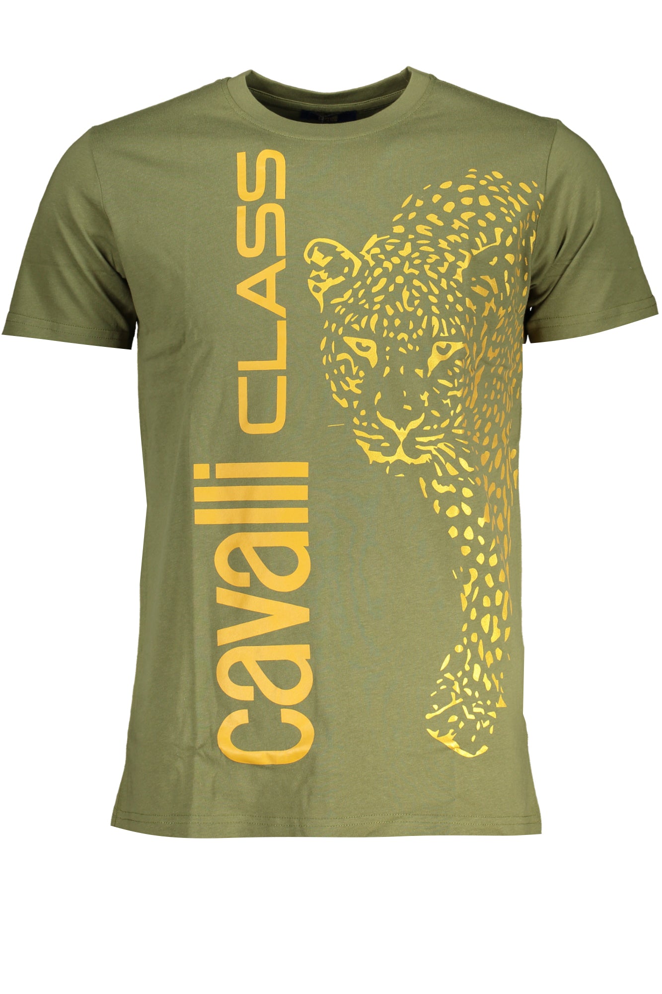CAVALLI CLASS GRÜNES KURZÄRMELIGES HERREN-T-SHIRT Hauptbild