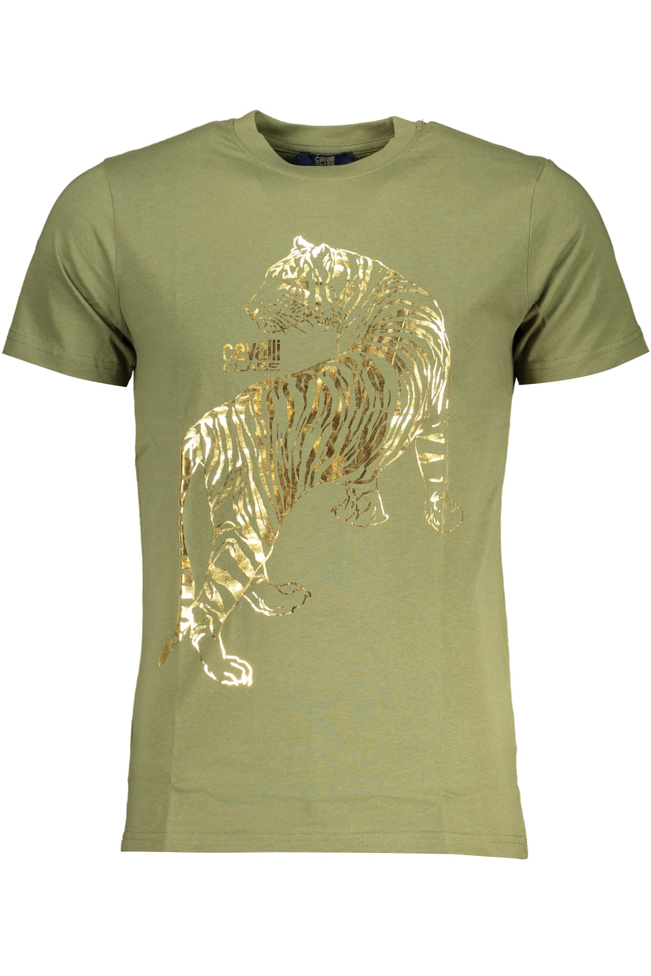 CAVALLI CLASS Herren T-Shirt | T-Shirts online kaufen Grün