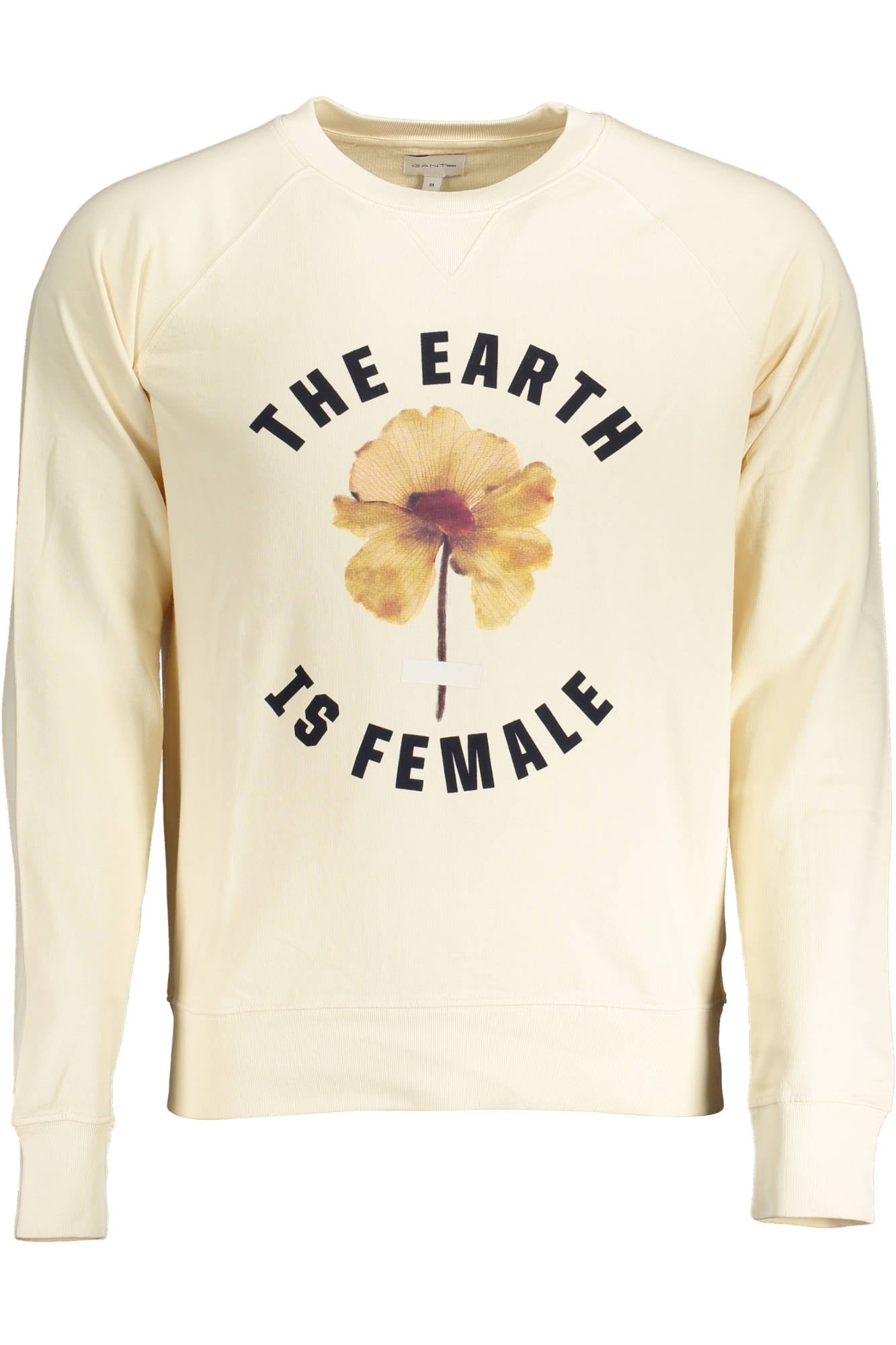 GANT Sweatshirt Herren Beige – Rundhals Pullover aus 100% Baumwolle | soulluna.de Beige